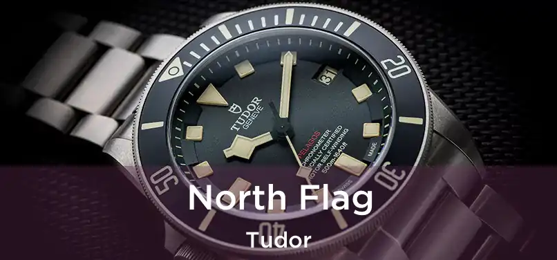  North Flag Tudor