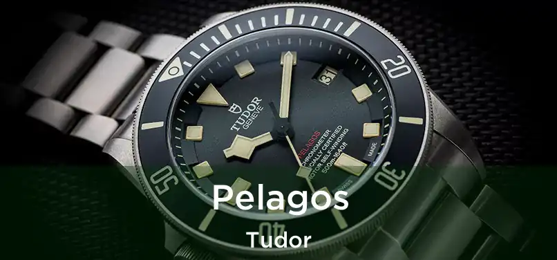  Pelagos Tudor