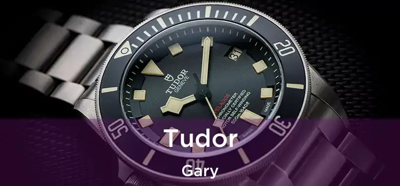  Tudor Gary