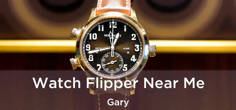  Watch Flipper Near Me Gary