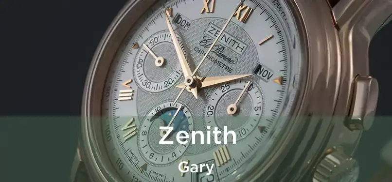  Zenith Gary